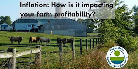 Primaire afbeelding van Inflation: How is it impacting your farm profitability?