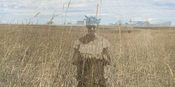Nat Evans: Flyover Country