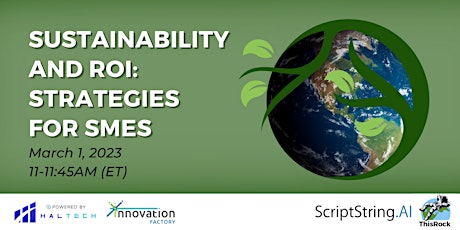 Sustainability and ROI: Strategies for SMEs