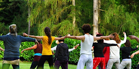 Imagen principal de Next Gen Qigong (Late Fall)