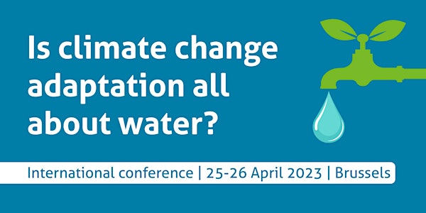 Is climate change adaptation all about water? Online