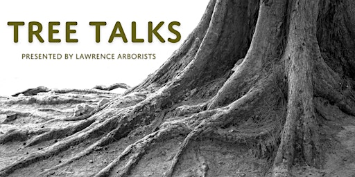 Sunflower STEAM Series — Tree Talks presented by Lawrence Arborists