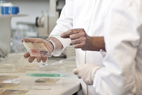 ASCUS Lab Monthly Microbiology Lab Induction