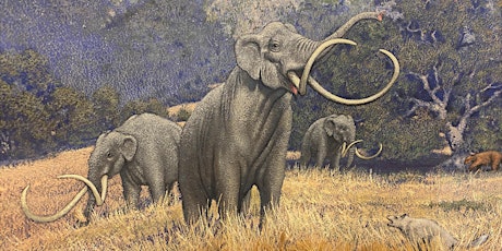 California's Elephants: Mammoths, Mastodons, and the Megafauna