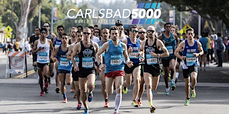 VOLUNTEER at the Carlsbad 5000 primary image