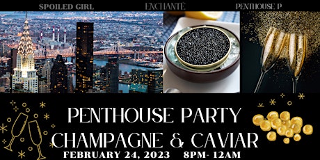 NYC CHAMPAGNE & CAVIAR PENTHOUSE PARTY (LUXURY DATING EVENT)