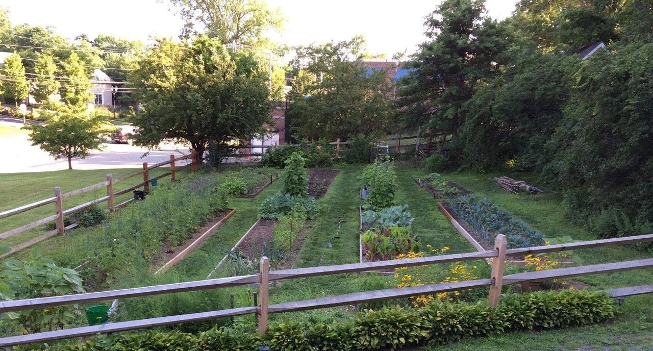 Dodge Homestead Farms Veggie Gardening Port Washington