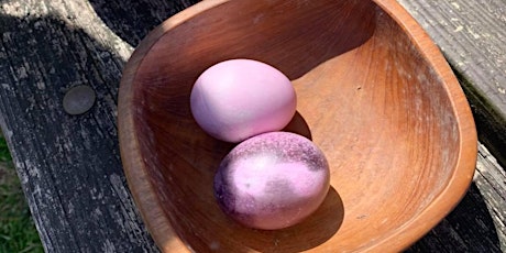 Natural Egg Dyeing in the Historical Park