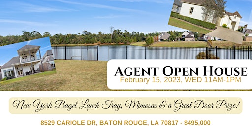 Team Smith's Carriagewood Estates Agent Open House