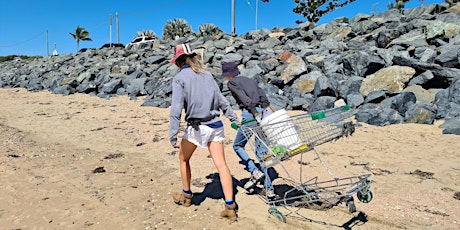 Yeppoon Lagoon, Ross Creek Monitoring Clean-Up primary image