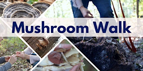 April Mushroom Walk Session 1