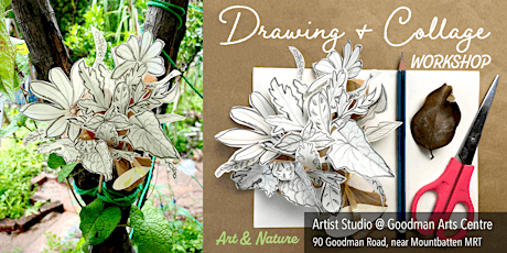 Drawing & Collage :  Plant Blossom. Be inspired by Art and Nature