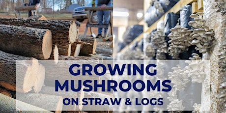 Growing Mushrooms on Logs and Straw