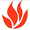 Logo von Flavors from Afar