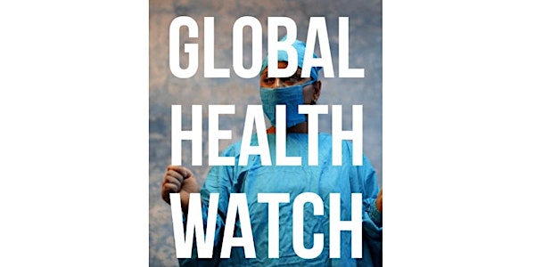Global Health Watch 5: Berlin launch and discussion