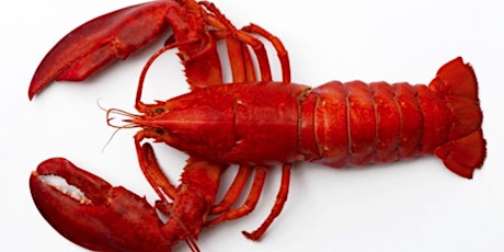 Lobsterrollpalloza primary image