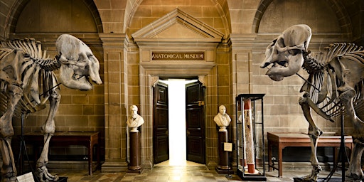 Anatomical Museum Public Open Day, Saturday 25th February 2023