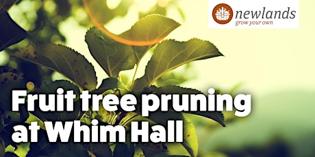 Grow Your Own - Fruit Tree Pruning at Whim Hall primary image