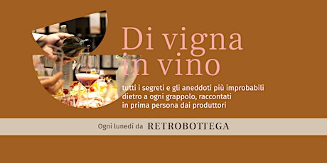 Di  vigna in vino - Dialogo con il produttore