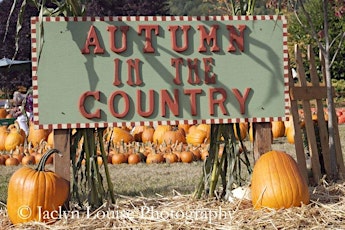 Cedarvillle Barn "Autumn in the Country" primary image