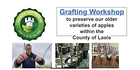 Grafting Workshop for Irish Heritage Apples