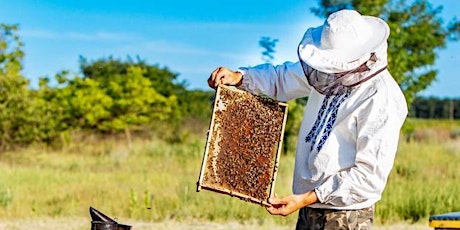 Introduction to Beekeeping - Asheboro Library