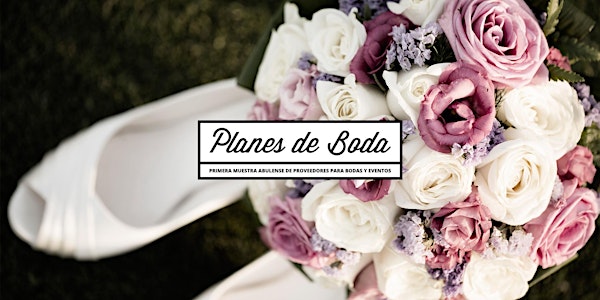 Planes de Boda en Ávila 2018