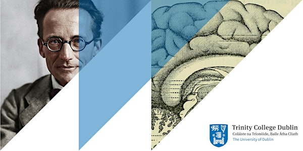What is Memory?—A Neurohumanities Lunchtime Seminar
