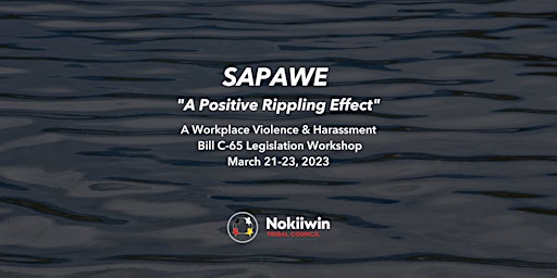 Sapawe "A Positive Rippling Effect" Workshop
