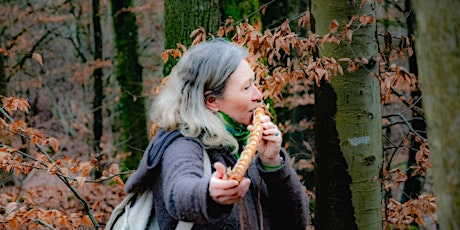 Image principale de Frei erzählte Märchen im Zauberwald - für Familien