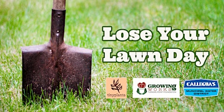 Lose Your Lawn Day