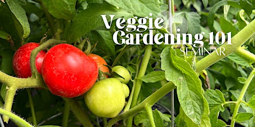 Veggie Gardening Seminar