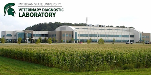Inside the MSU Veterinary Diagnostic Laboratory: Disease Detectives at Work