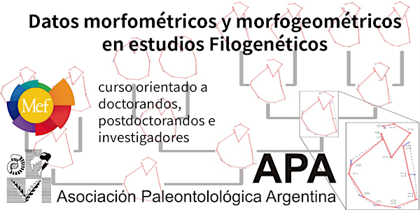 Datos morfométricos y morfogeométricos en estudios Filogenéticos