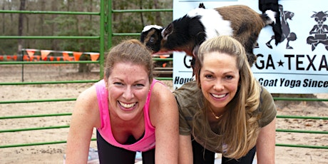 Goat Yoga @ B-52 Brewing! - Sun, April 16 - 10am & 11am - TWO CLASS TIMES! primary image