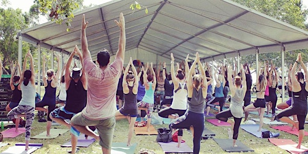 Darwin Yoga Day