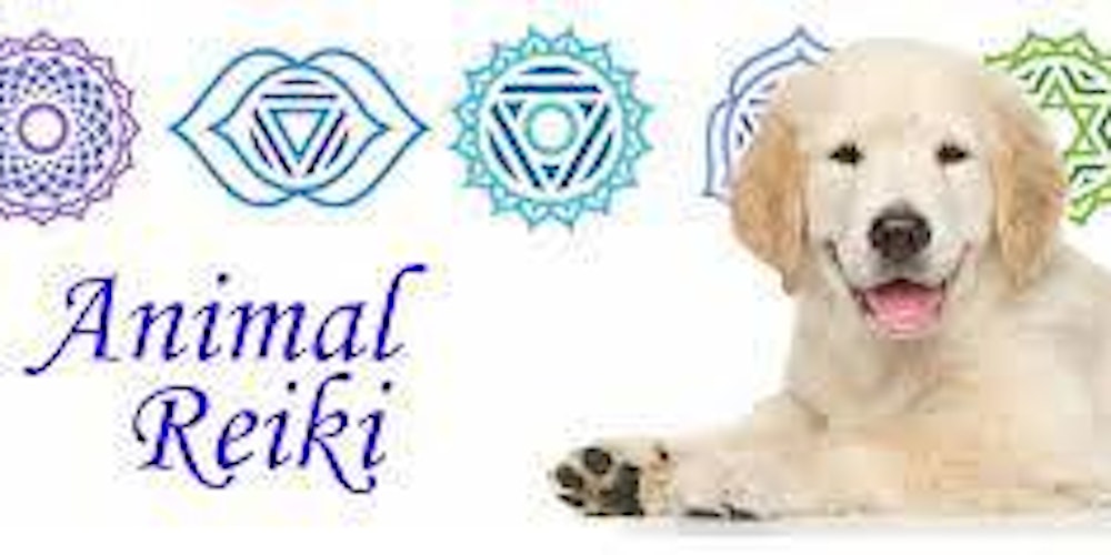 Animal Reiki Training Tickets, Sun, 7 May 2023 at 12:00 PM | Eventbrite