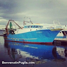 Immagine principale di #Fishing #tour Ionian sea #Apulia | #Pesca turismo Mar Ionio #Puglia #Italy 