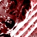 Organizer profile image