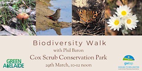 Primaire afbeelding van Biodiversity Walk - Cox Scrub Conservation Park