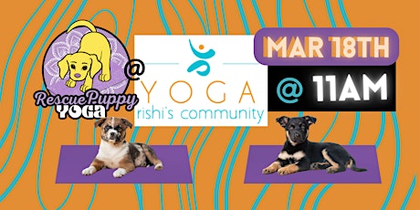 Rescue Puppy Yoga -  Rishi’s Community Yoga