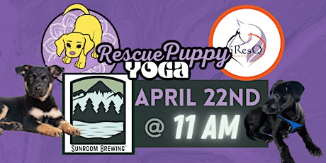 Rescue Puppy Yoga - Sunroom Brewing