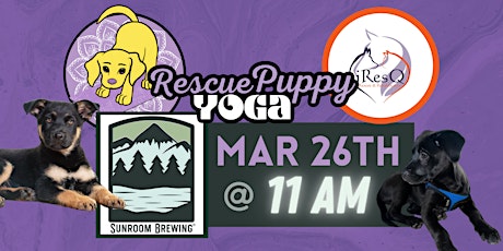 Rescue Puppy Yoga - Sunroom Brewing