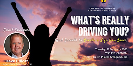 What’s Really Driving You? (And Secrets to Create a Life You Love!)