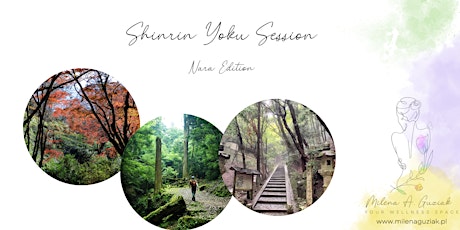 Imagen principal de Shinrin Yoku Session in `Nara's Primeval Forest (Path 1)
