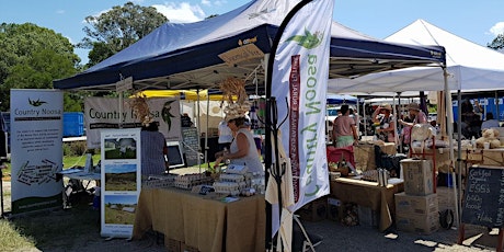 Cooroy Fusion Festival primary image