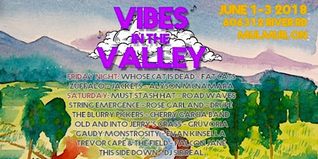 Vibes In The Valley Festival 2018 primary image