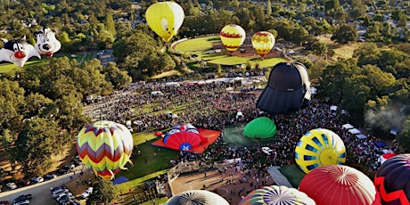 Hot Air Balloon Festival primary image