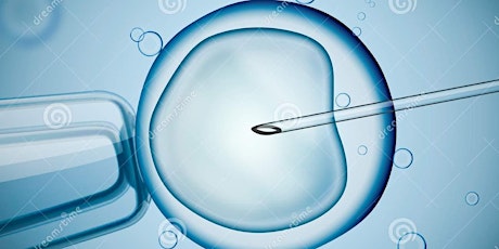 IVF AND FERTILITY primary image