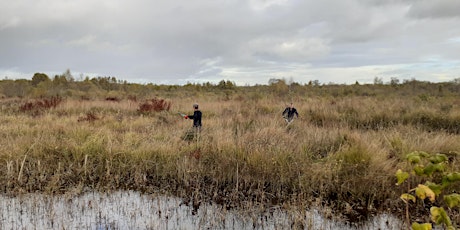 Peatland Management Theory and Practice at Brackagh Bog